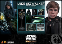 Luke Skywalker (Deluxe Version) Sixth Scale Figure by Hot Toys