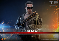 
              T-800 (2.0) Sixth Scale Figure by Hot Toys
            