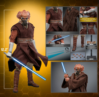 
              Plo Koon™ Sixth Scale Figure by Hot Toys
            