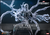 
              Peter Parker (Anti-Venom Suit) Sixth Scale Figure by Hot Toys VGM69
            