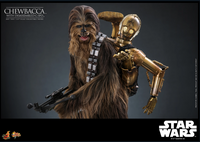 
              Chewbacca™ with Disassembled C-3PO™ Sixth Scale Figure
            
