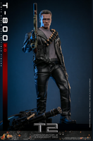 
              T-800 (2.0) Sixth Scale Figure by Hot Toys
            
