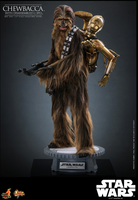 
              Chewbacca™ with Disassembled C-3PO™ Sixth Scale Figure
            