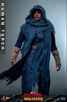 
              Human Torch Sixth Scale Figure by Hot Toys MMS789
            