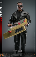 
              T-800 (2.0) Sixth Scale Figure by Hot Toys
            