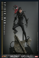 
              Spider-Man (Black Suit) (Deluxe Version) Sixth Scale Figure by Hot Toys
            