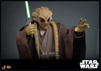 
              Kit Fisto Sixth Scale Figure by Hot Toys
            