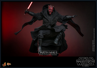 
              Hot Toys MMS748B Star Wars The Phantom Menace Darth Maul Special Ver
            
