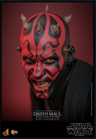 
              Darth Maul with Sith Speeder Sixth Scale Figure Set by Hot Toys
            