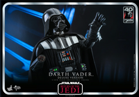 
              Darth Vader (Deluxe Version) (Return of the Jedi 40th Anniversary Collection)
            