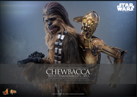 
              Chewbacca™ with Disassembled C-3PO™ Sixth Scale Figure
            